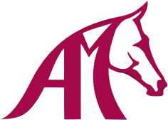 logo sukces
