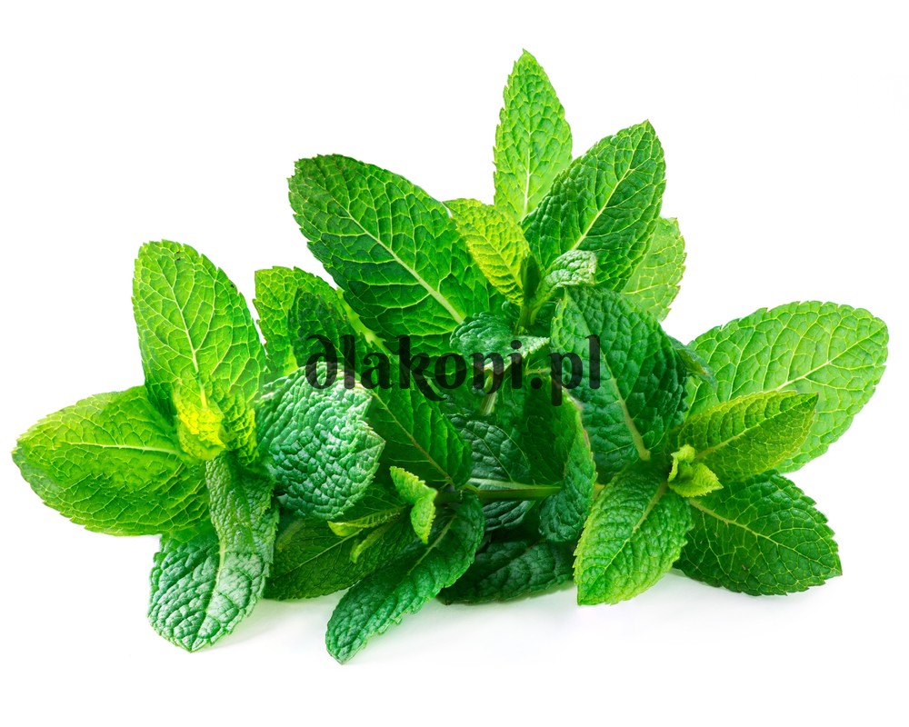 e6001fa7516b459410ffe1db75788d7a