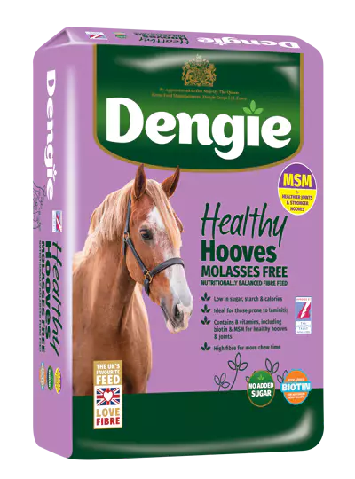 dengie-healthy-hooves-molasses-free-z-msm-20kg-sieczka-dla-koni-z-dodatkiem-biotyny