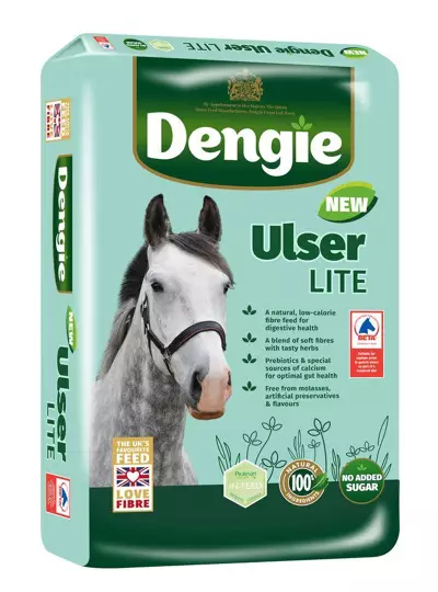 dengie-ulser-lite-20kg-niskokaloryczna-sieczka-dla-koni-z-problemami-gastrycznymi